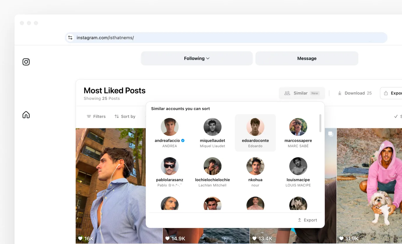 The Similar panel open under a sorted Instagram profile, with a grid of account cards and Export at its foot